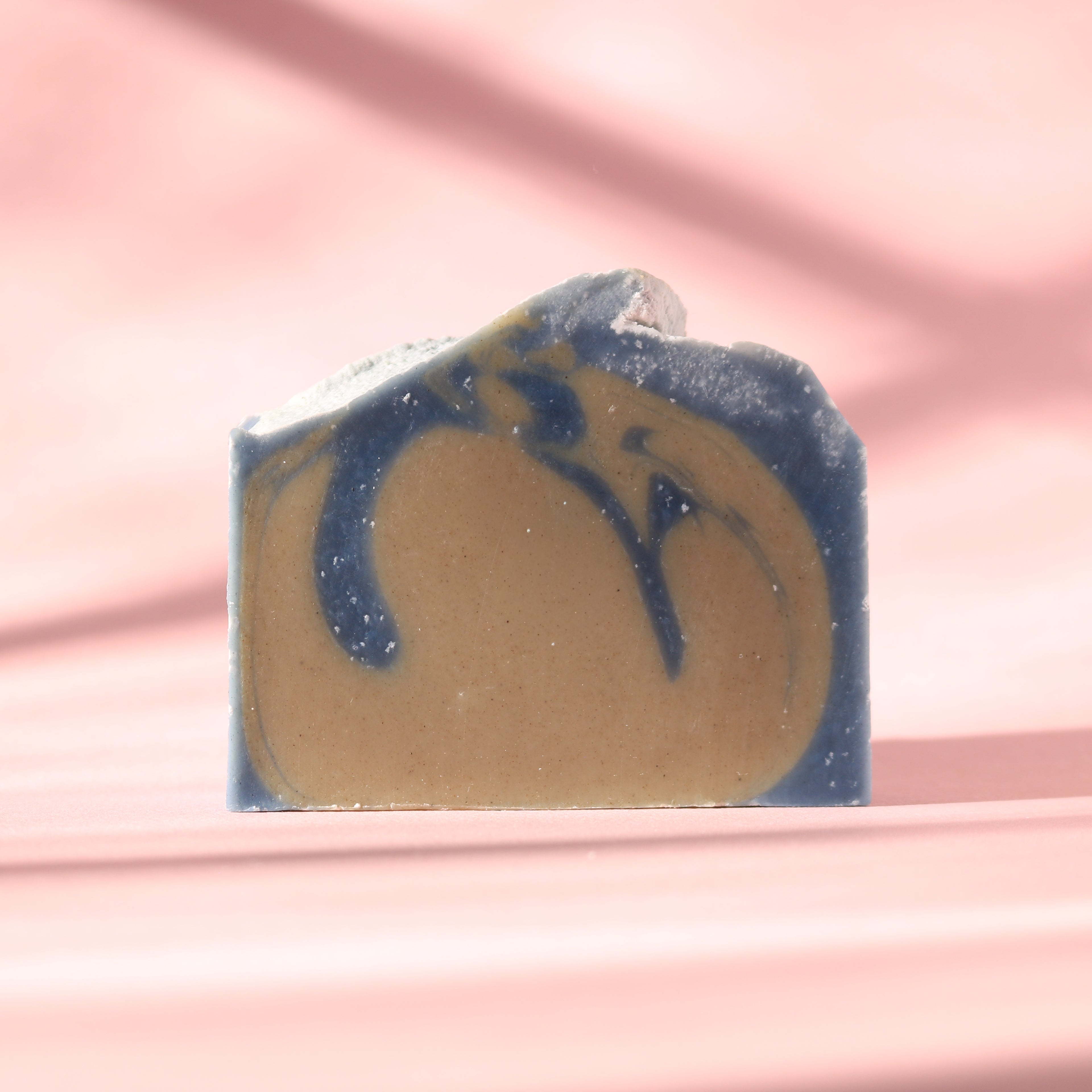 Bosque y Mar | Forest and Sea