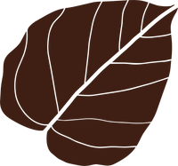 Ingredientes reales que cuidan tu piel